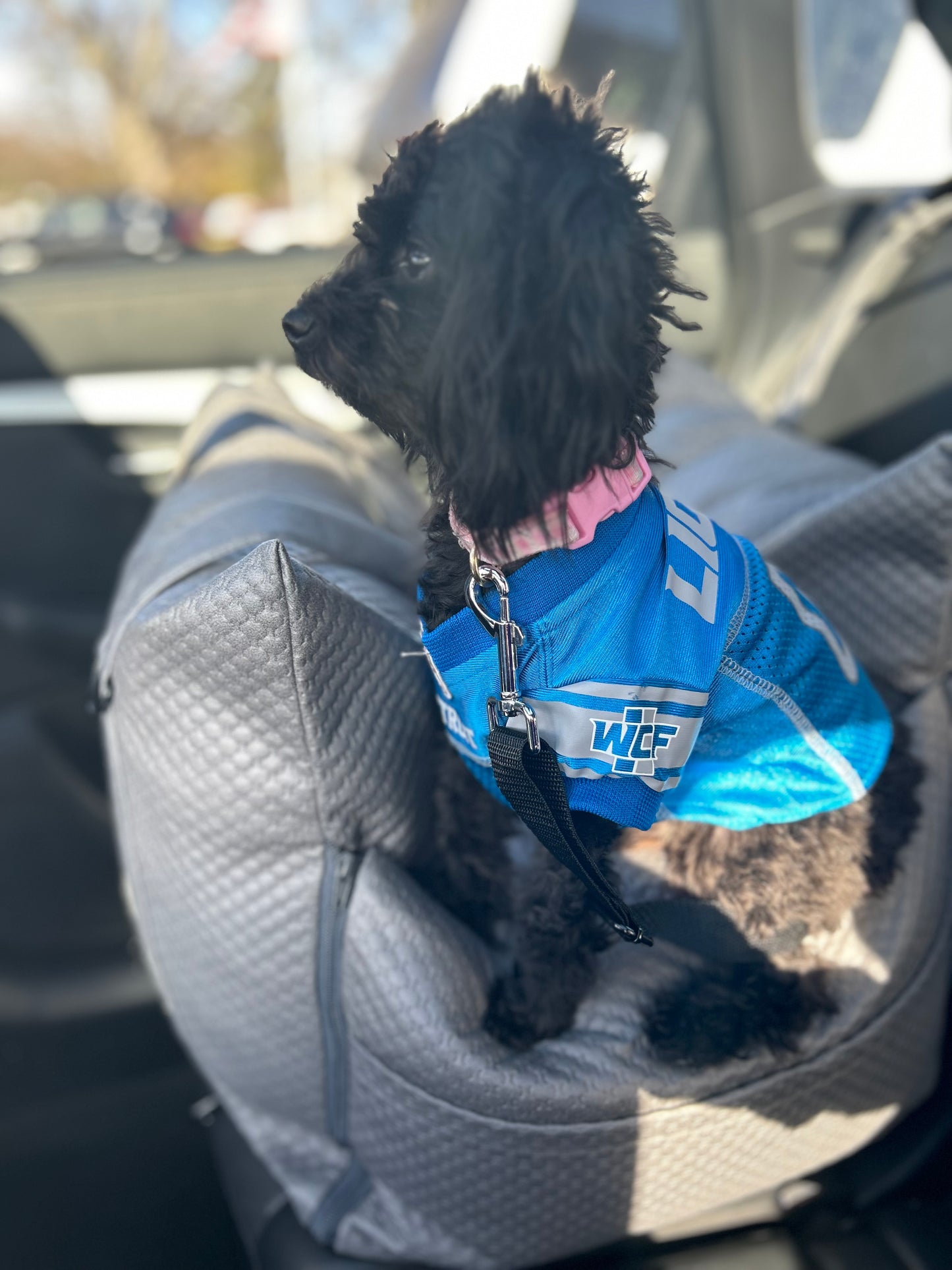 Sleeping Paws Luxe Pooch Pad (Dog Bed Car Seat)