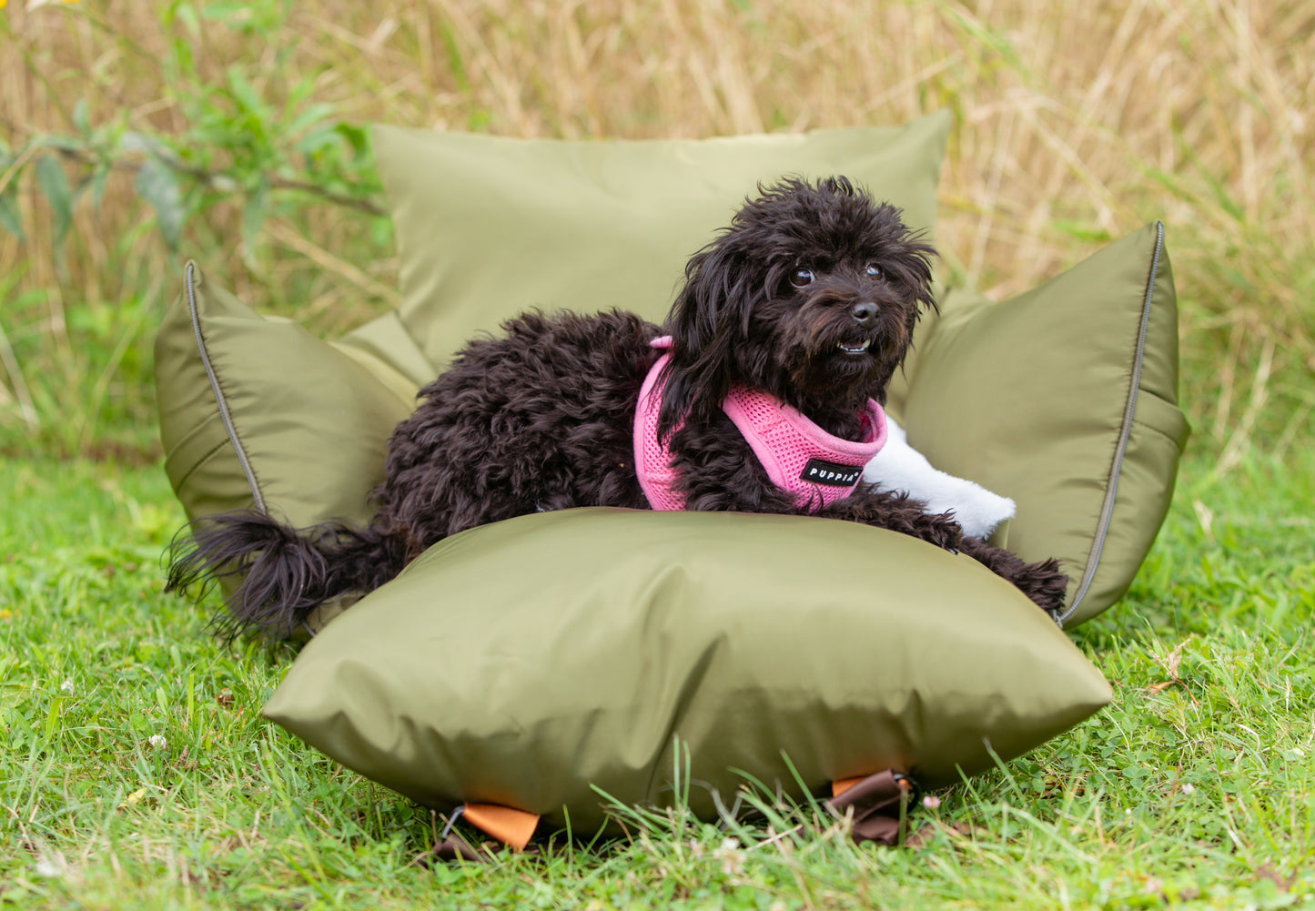 Sleeping Paws Pooch Pad (Dog Bed Car Seat)