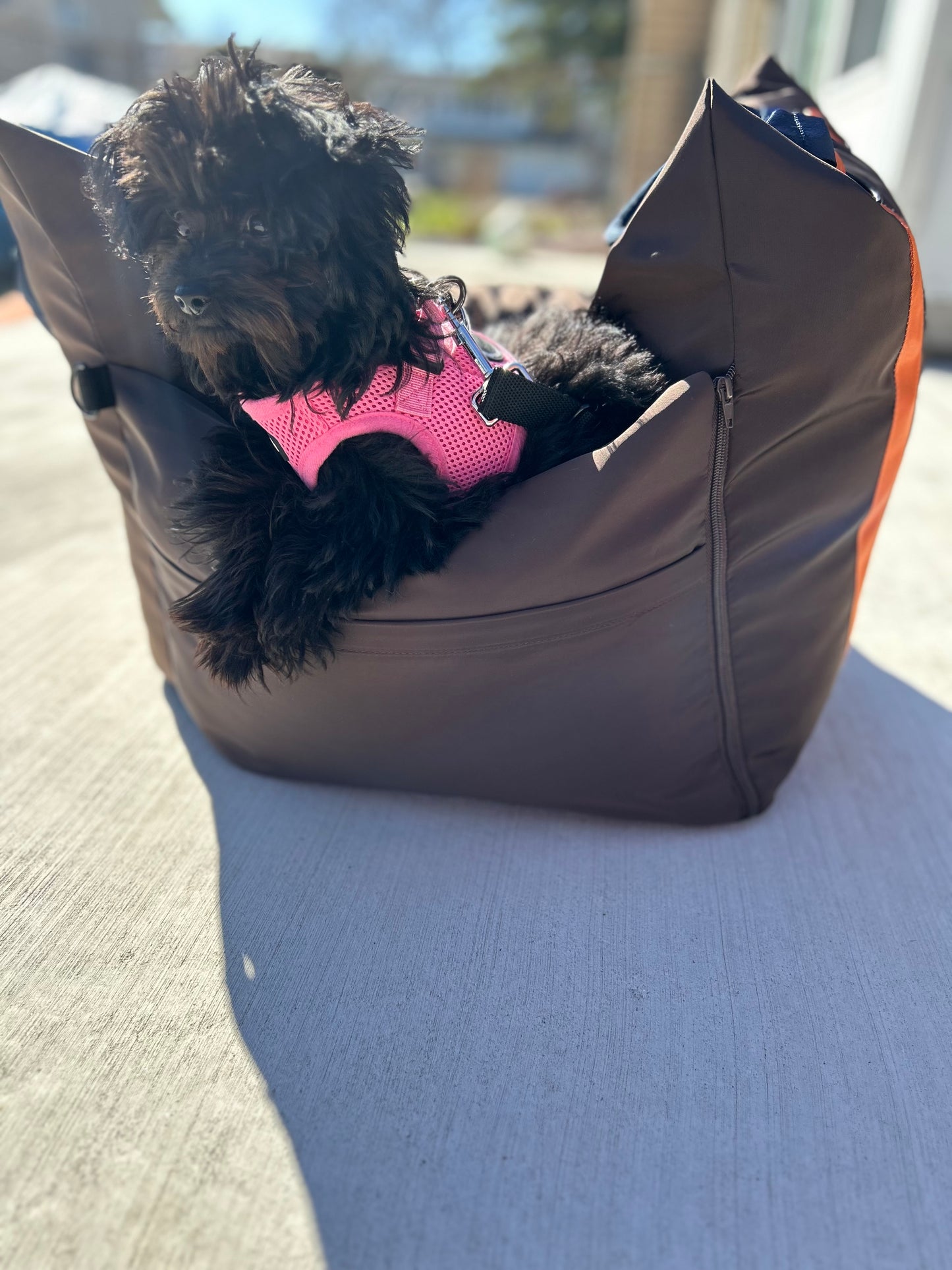 Sleeping Paws Pooch Pad (Dog Bed Car Seat)