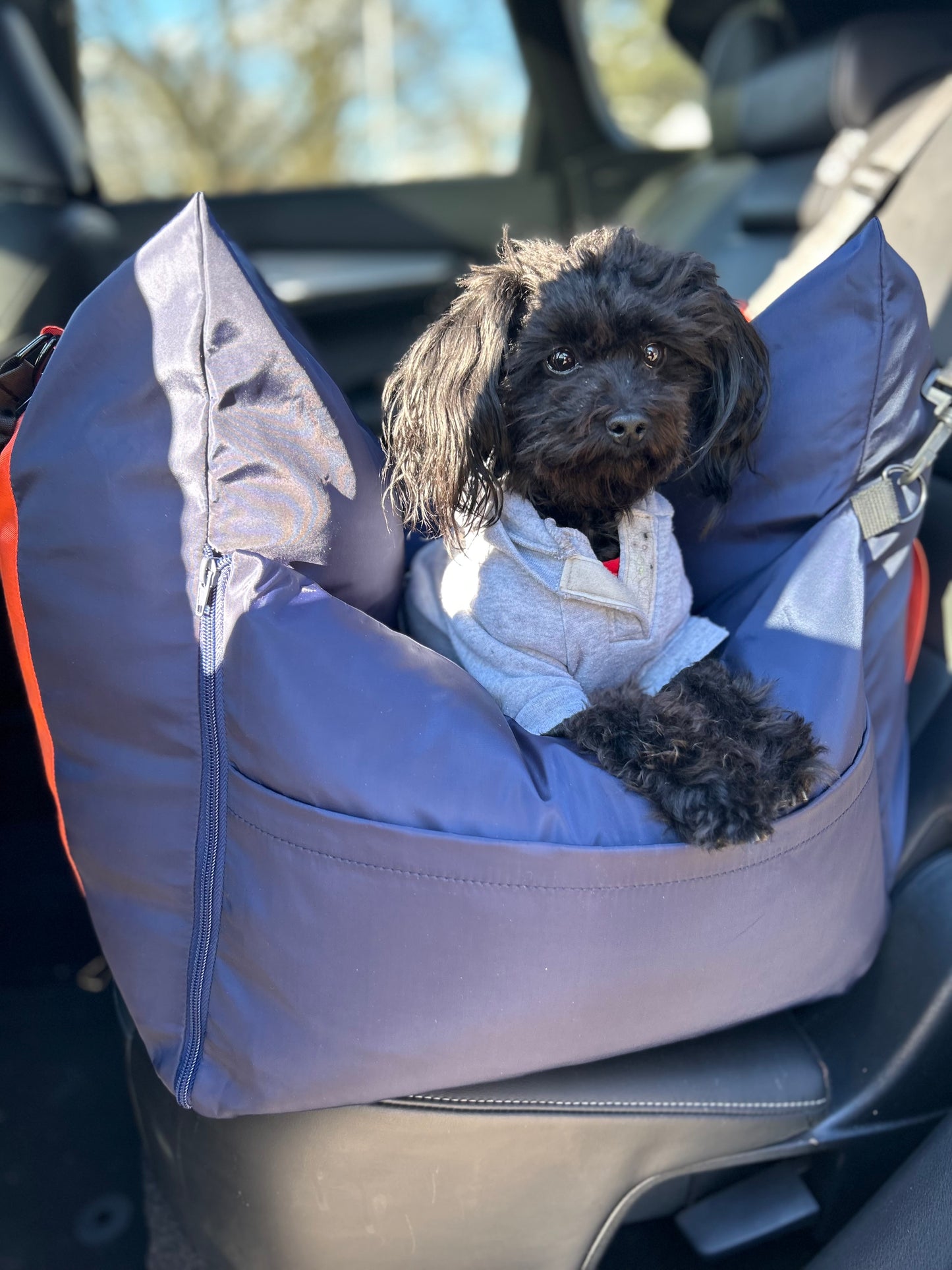 Sleeping Paws Pooch Pad (Dog Bed Car Seat)