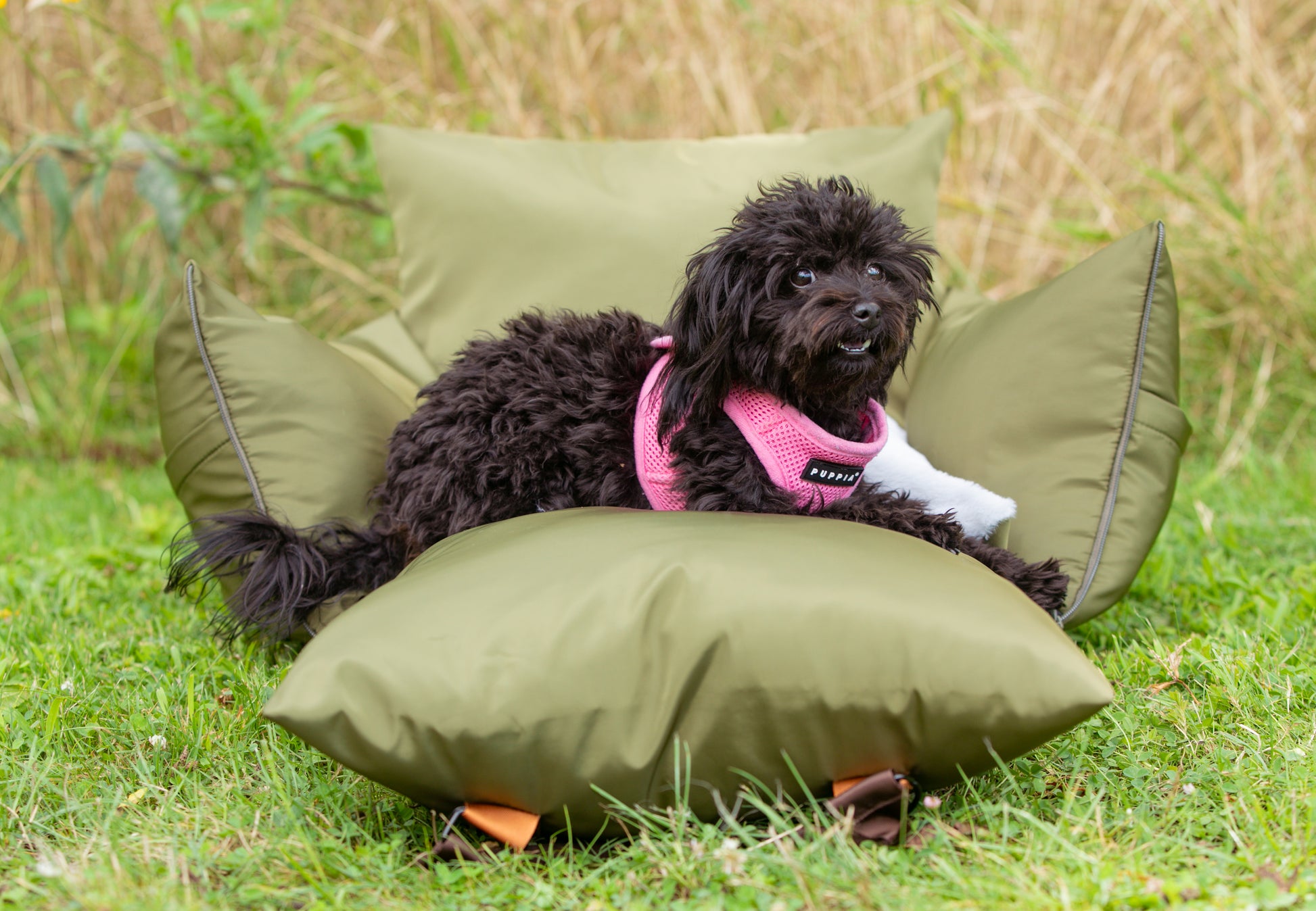 Sleeping Paws Pooch Pad (Dog Bed Car Seat) - Main Image