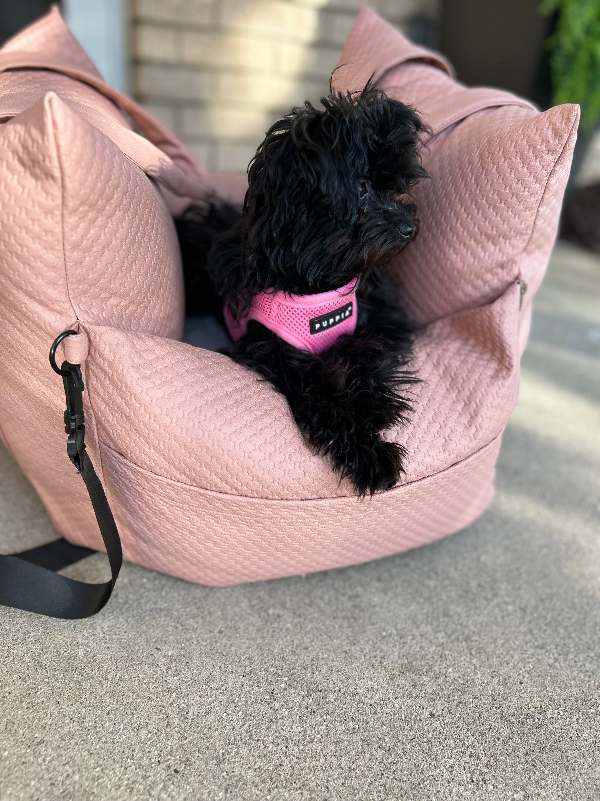 Sleeping Paws Luxe Pooch Pad (Dog Bed Car Seat)