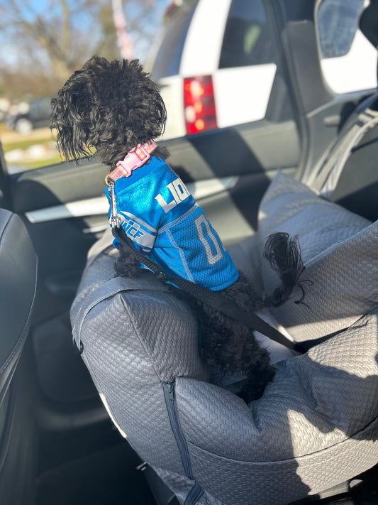 Sleeping Paws Luxe Pooch Pad (Dog Bed Car Seat)